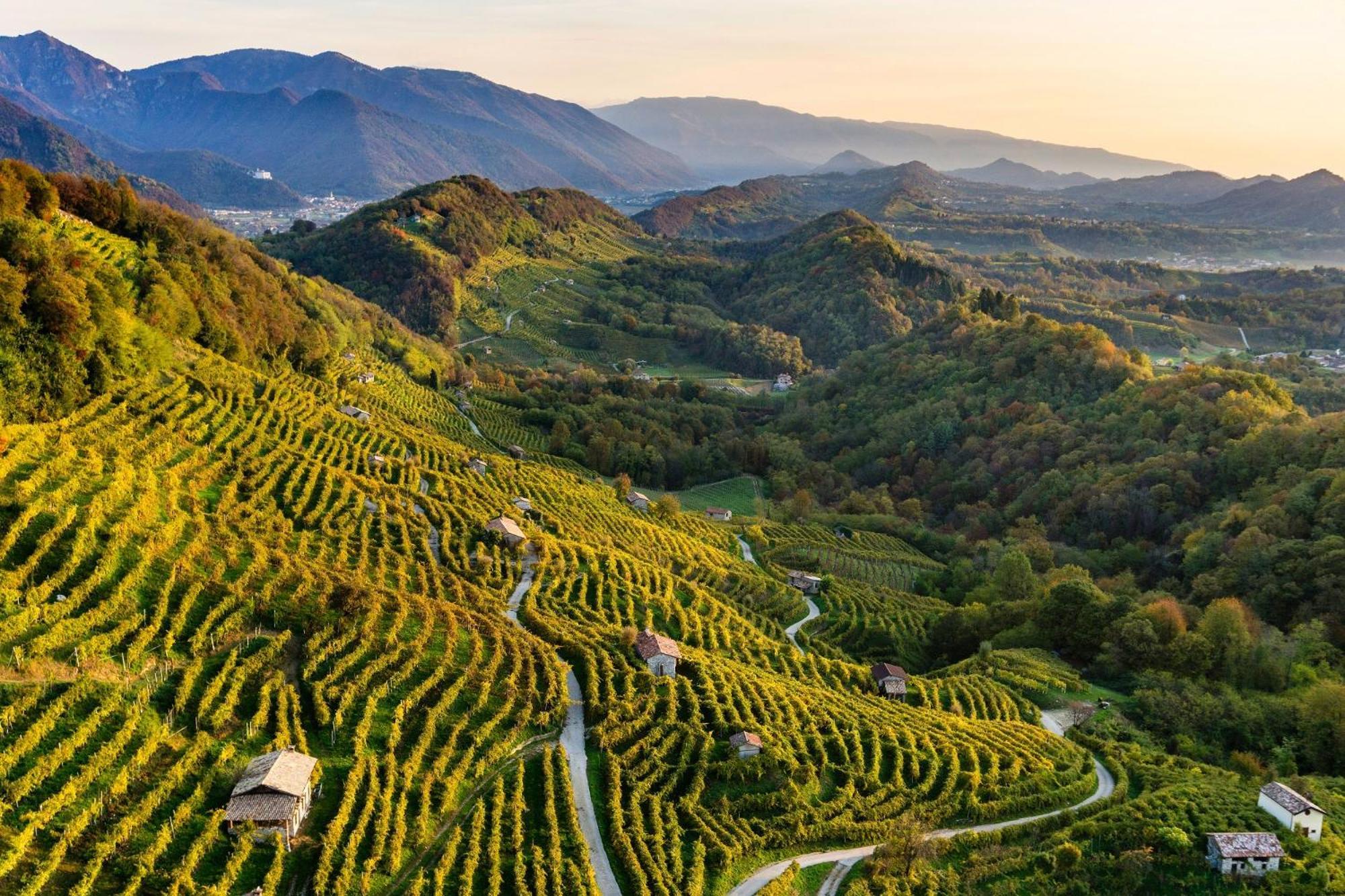 Locanda Da Lino 피브디솔리고 외부 사진